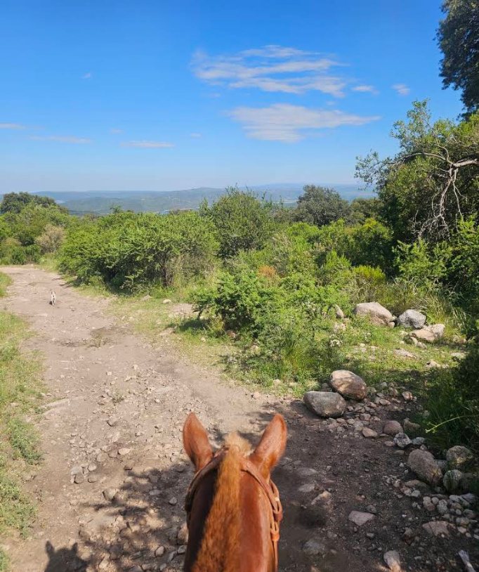 Tranquilidad en las sierras